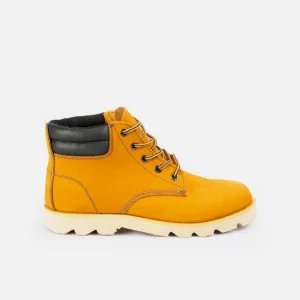Centauro – Oro